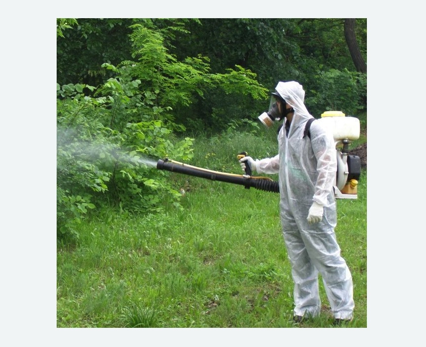 обработка территории от клещей в Гаджиево