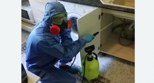 Уничтожение муравьев в квартире. Гаджиево