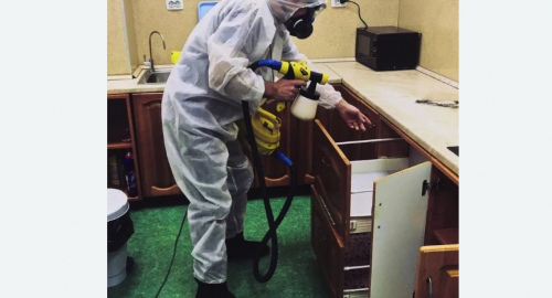 Уничтожение насекомых в квартире. Гаджиево