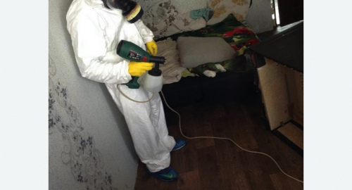 Обработка квартир от насекомых в Гаджиево