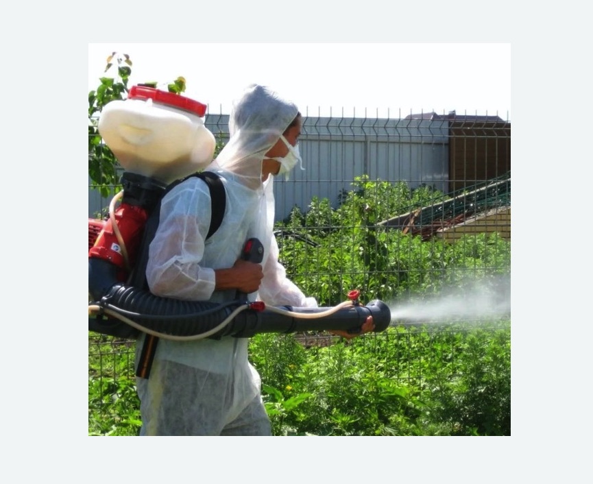 Акарицидная обработка территории в Гаджиево