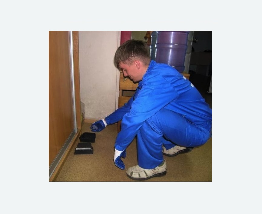 Дератизация крыс в Гаджиево