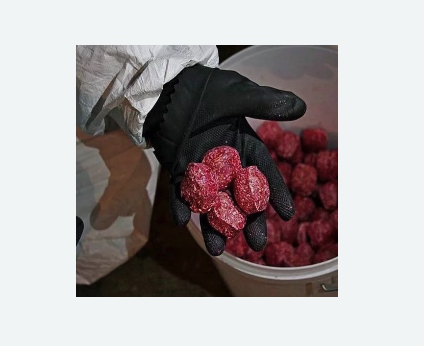 Обработка от крыс в Гаджиево