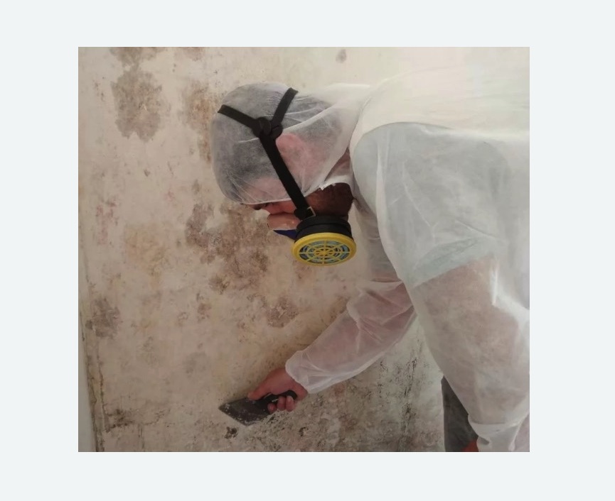 Обработка стен от плесени в Гаджиево