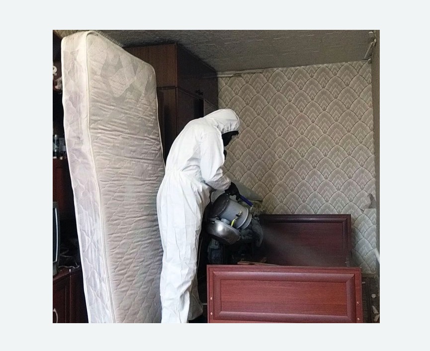 дезинфекция от клопов в Гаджиево