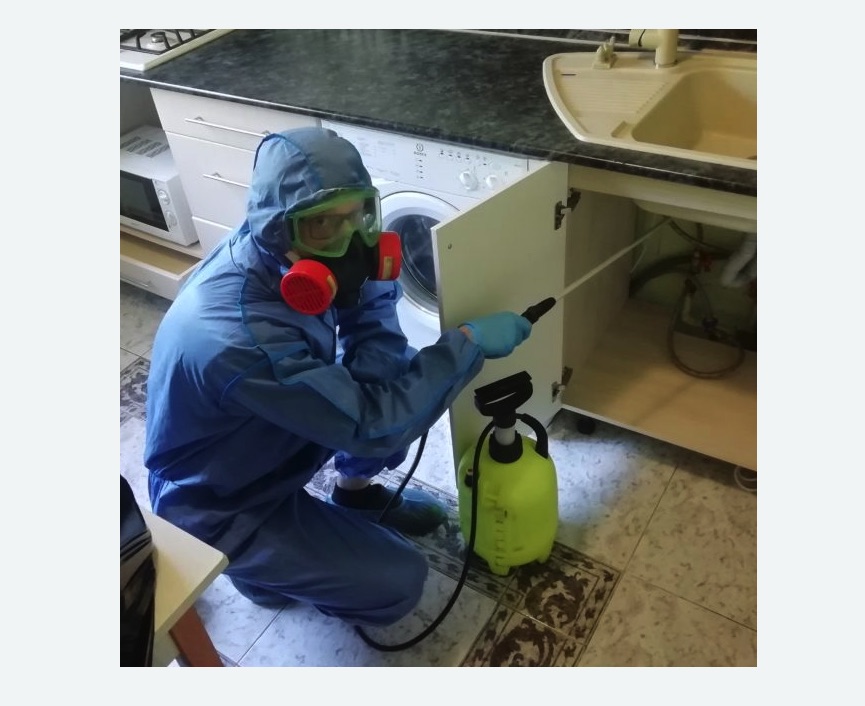 обработка от муравьев в квартире в Гаджиево