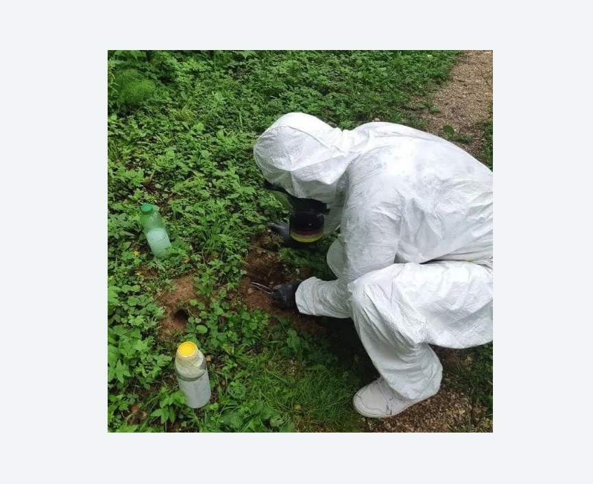 уничтожение кротов на участке в Гаджиево