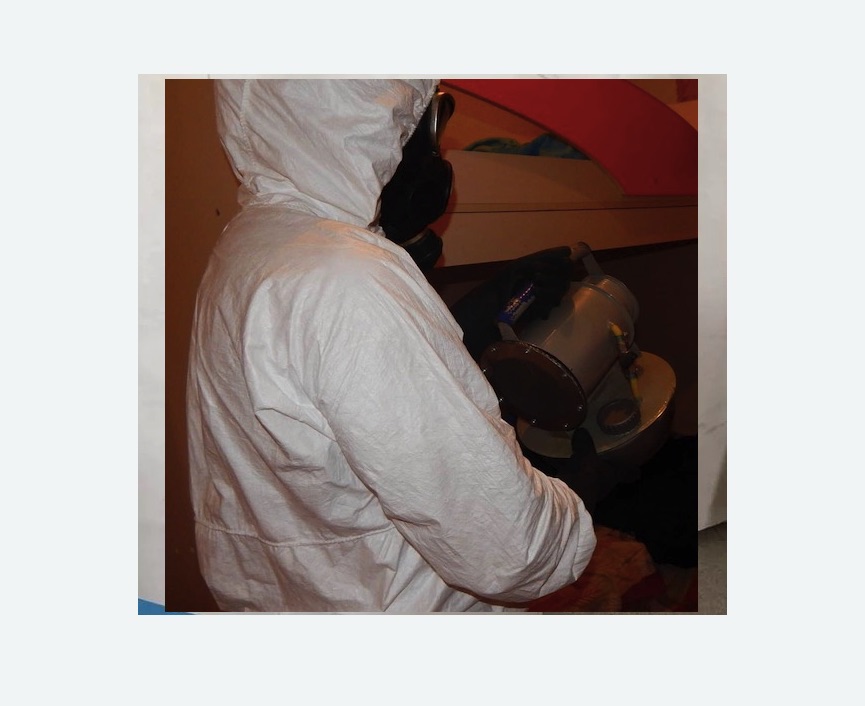 Дезинфекция от муравьев в Гаджиево